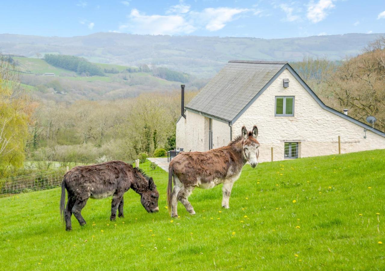 Usk Barn Apartment Llanbadoc Exterior photo